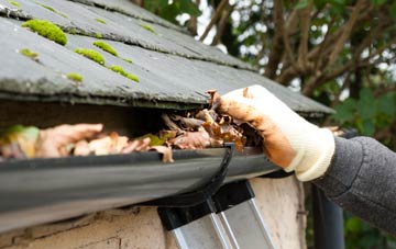 gutter cleaning The Wyke, Shropshire