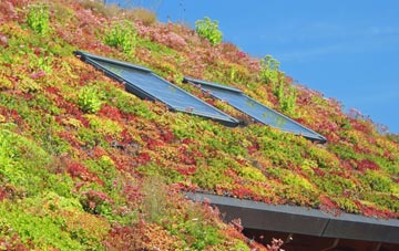The Wyke living roof systems