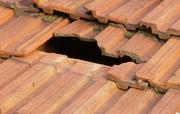 roof repair The Wyke, Shropshire